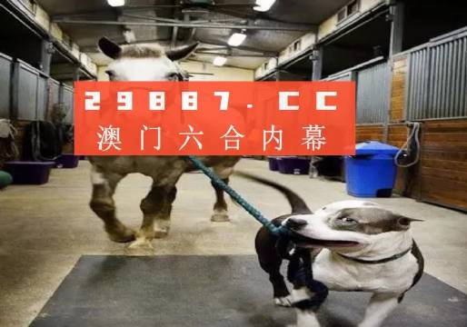 澳门一肖一码一必中一肖同舟前进- 警惕虚假宣传,全面释义落实